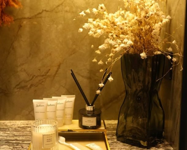 raddison_homepage (1)